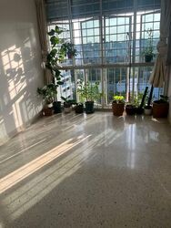 Spottiswoode Park (D2), Apartment #587707601